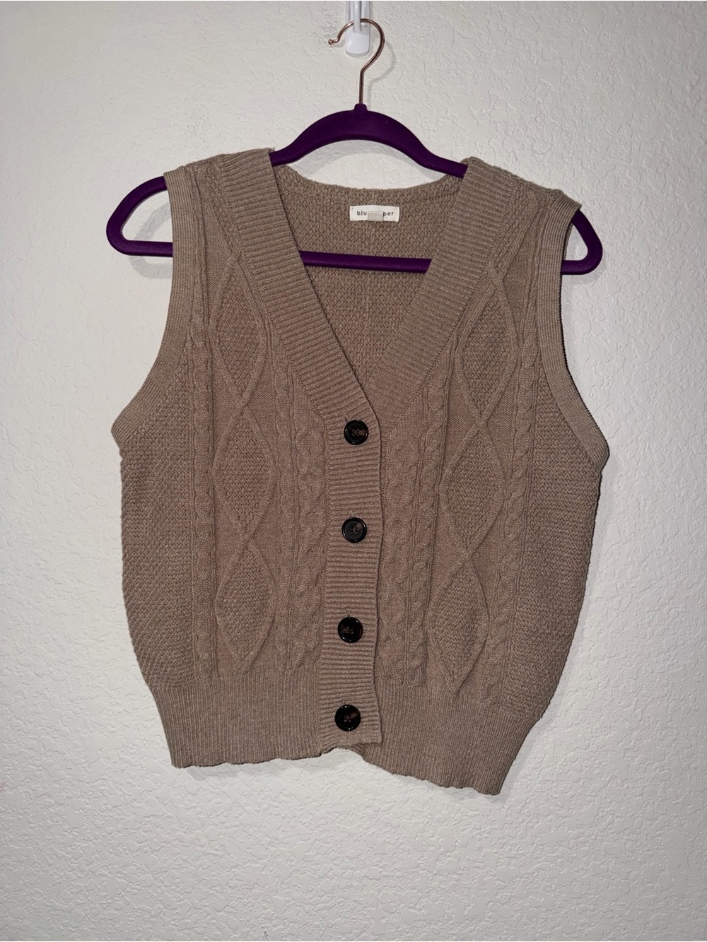 Blu Pepper Taupe Cable-Knit Button Front Sweater Vest